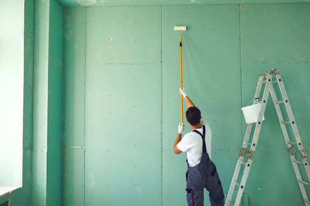 Best Mold Damage Restoration  in Sand Lake, MI