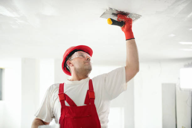 Best Environmental Consulting for Mold Prevention  in Sand Lake, MI