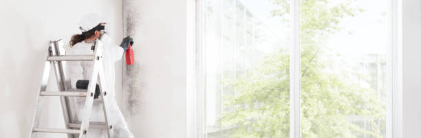 Best Mold-Related Health Consultation  in Sand Lake, MI