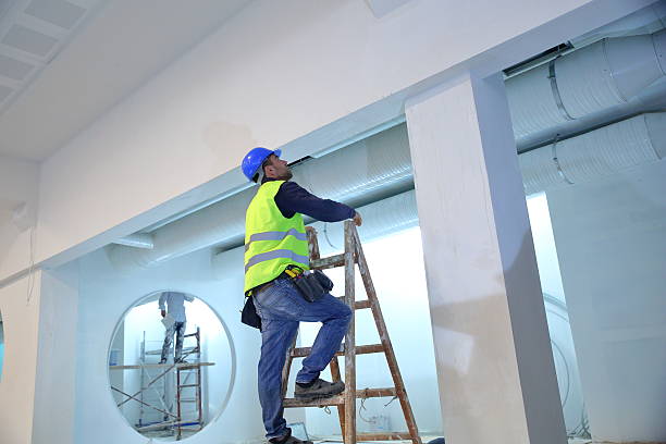 Best Emergency Mold Remediation  in Sand Lake, MI