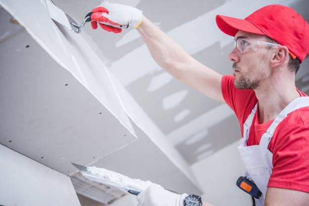 Sand Lake, MI Mold Removal Company